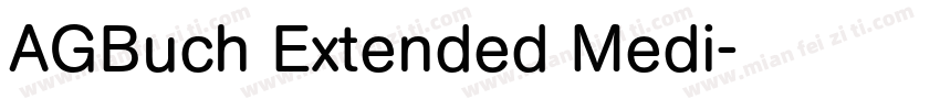 AGBuch Extended Medi字体转换